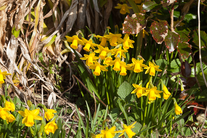 Hodsock 2014 (12)